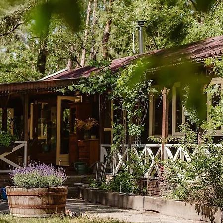 Forest Cottage With Lovely Garden & Sauna Doornspijk Buitenkant foto