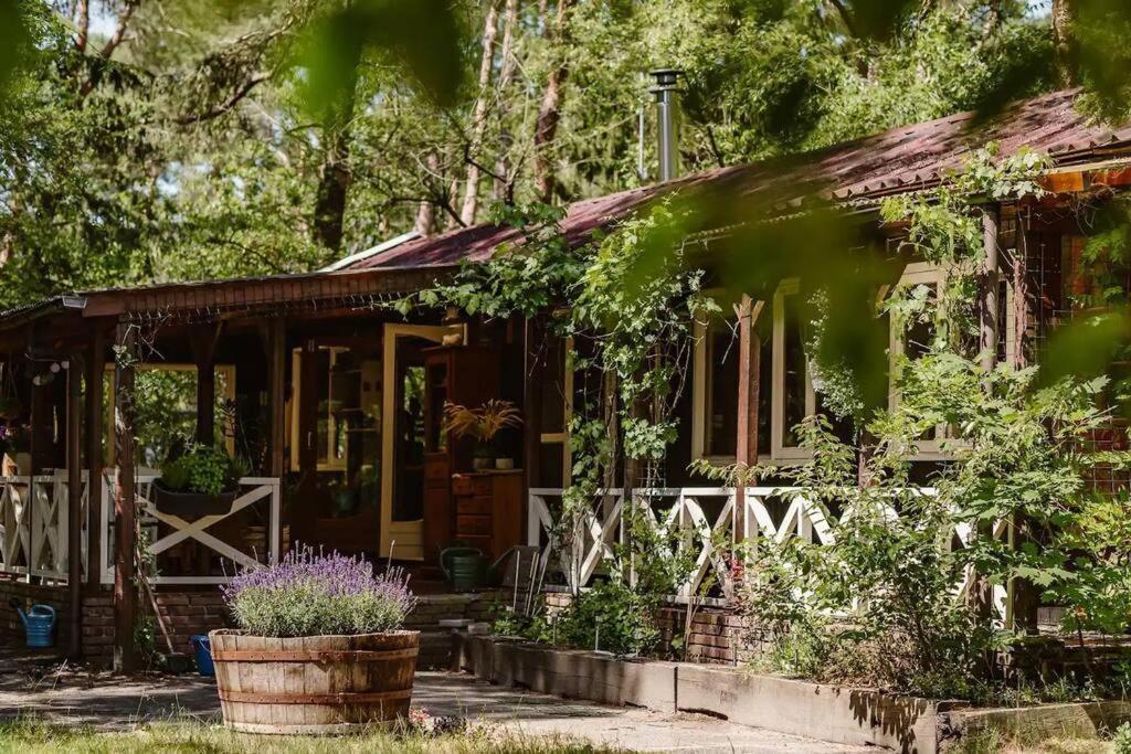 Forest Cottage With Lovely Garden & Sauna Doornspijk Buitenkant foto