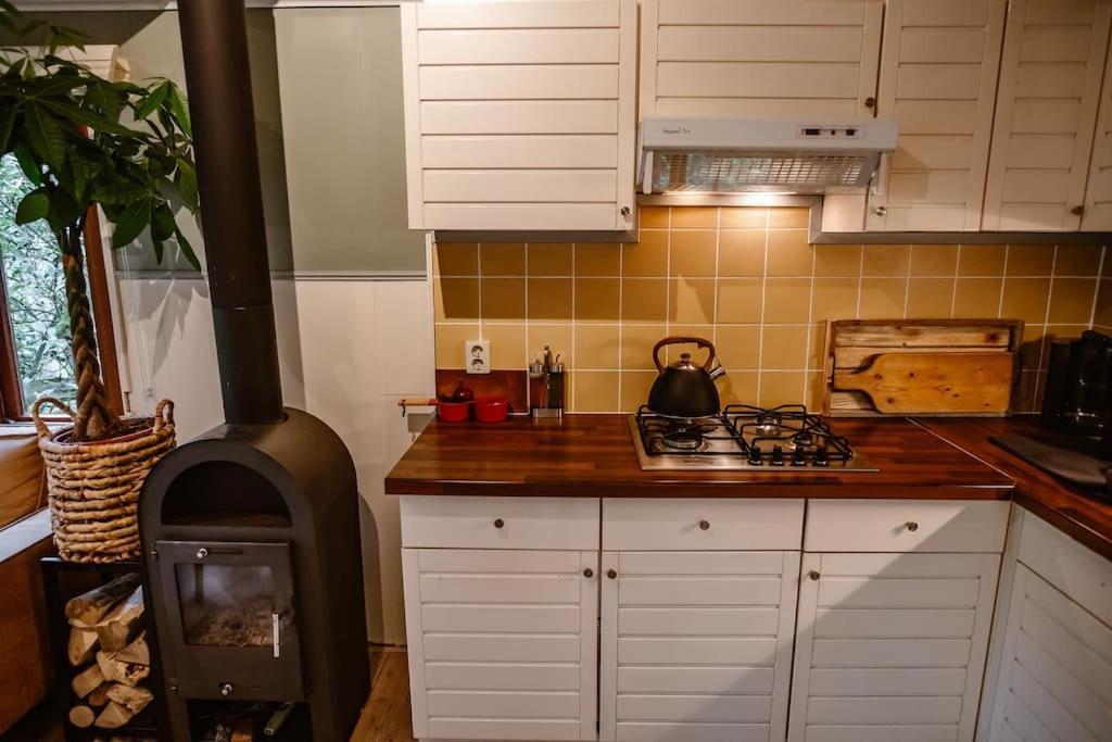 Forest Cottage With Lovely Garden & Sauna Doornspijk Buitenkant foto