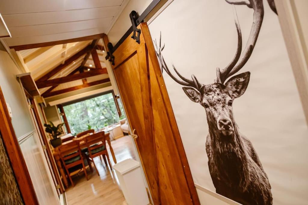 Forest Cottage With Lovely Garden & Sauna Doornspijk Buitenkant foto