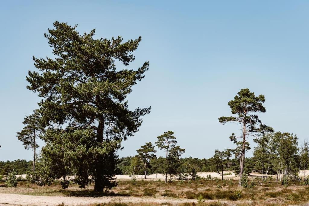 Forest Cottage With Lovely Garden & Sauna Doornspijk Buitenkant foto